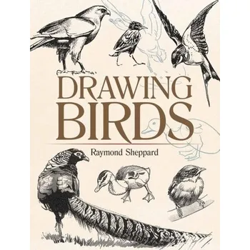 Drawing Birds - Sheppard, Raymond