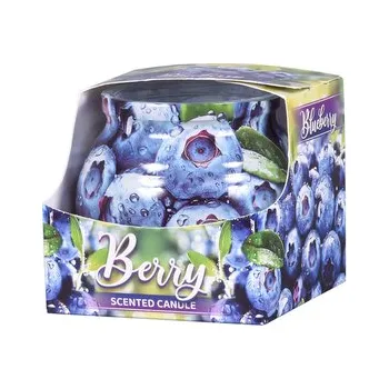 Svíčka Svíčka ve skle BORŮVKY vonná 70g