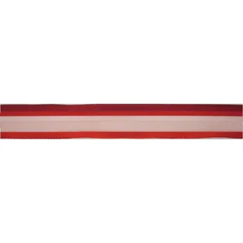 Stuha Plátnová stuha s monofilem a drátem, 25mm, červená