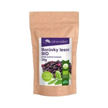 Sušené ovoce Borůvky lesní BIO sušené mrazem 20g - Zdravý den (Doplněk stravy)