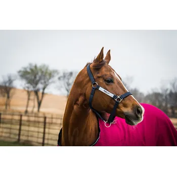 HORSEWARE Ohlávka bezpečnostní Horseware, navy COB