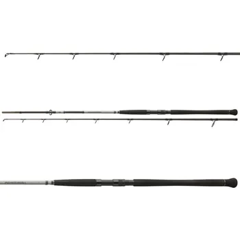 Rybářský prut Daiwa prut Powermesh CatFish Boje 3,00m 150-400g