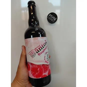 Pivo Antoš Raspberry Sour 12°/5% 0,7l