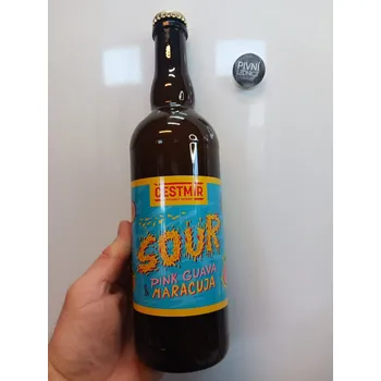 Pivo Čestmír Sour Ale Pink Guava A Maracuja 12°/5,2% 0,7l