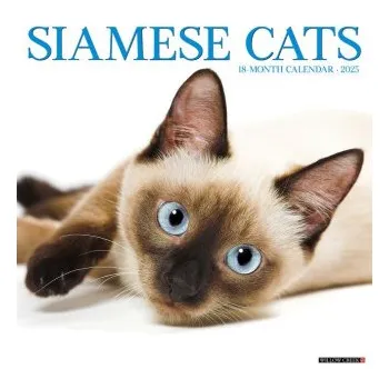 Kalendář Siamese Cats 2026 12 X 12 Wall Calendar (EN)