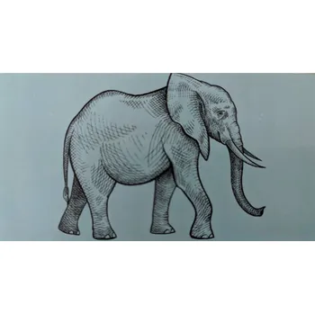 Plážová osuška Zd trading 170 cm bavlna