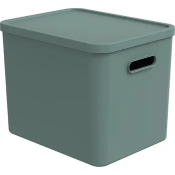 Rotho Úložný box, rovný s víkem, 27l, matně zelená ALBU LIGHT, 37x29x30