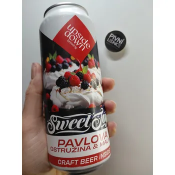 Pivo Upside Down Pavlova 13°/3,8% 0,5l