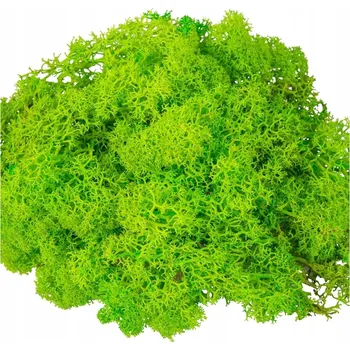 umělá květina Mech Chrobotek Na Aranžování Přírodní Trávový