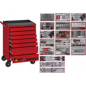 DÍLENSKÝ VOZÍK / SKŘÍŇKA NA NÁŘADÍ 302 ks TENGTOOLS