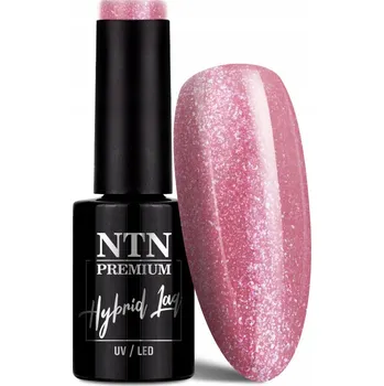 Lak na nehty NTN Premium Hybridní Lak 5 ml - Kolekce Day Dreaming Č. 55