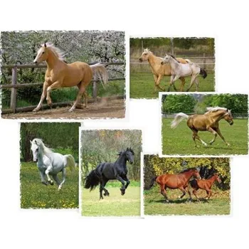 Pohlednice sr Z029 B UV