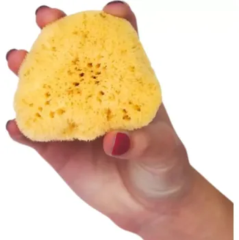 Sprchový gel Jemná mycí mořská houbička na obličej