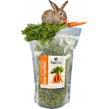 Krmivo pro hlodavce Pochoutky PaszNik přírodní bylinky 100 g