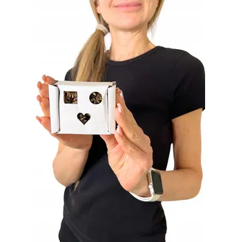 Obraz Krabička plná překvapení – hračka pro každého papouška