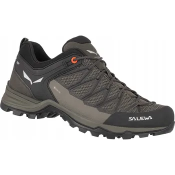 Pánská treková obuv Salewa nízké trekové boty MTN Trainer Lite GTX, velikost 46