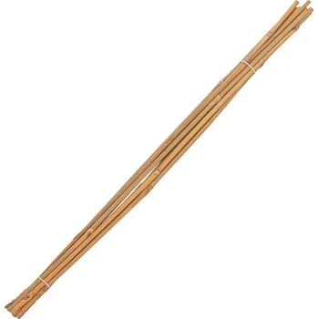 Stojan na květiny DEMA Tonkin tyčky bambusové 6/8 mm x 60 cm, přírodní, 10 ks