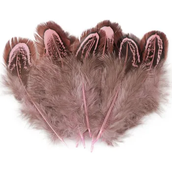 Bažantí peří délka 5-7 cm, malé, 2 růžová sv.