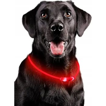Obojek pro psa Svítící silikonový obojek pro psa Light up Collar
