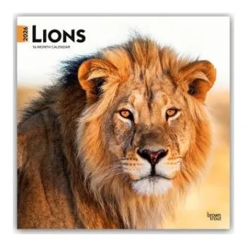 Diář Lions - Löwen 2026 - 16-Monatskalender (EN)