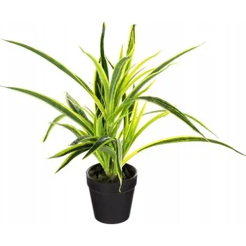 umělá květina UMĚLÁ DEKORATIVNÍ ROSTLINA do koupelny, výška 30 cm