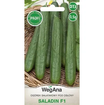 Semeno Semena Okurka Salátové Saladin pro Skleníky 0,5g