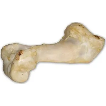 Pamlsek pro psa Hovězí kost bílá - extrudovaná 1 ks/36 cm