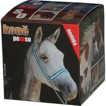 Karetní hra Mičánek MP pexeso BOX LUX Koně