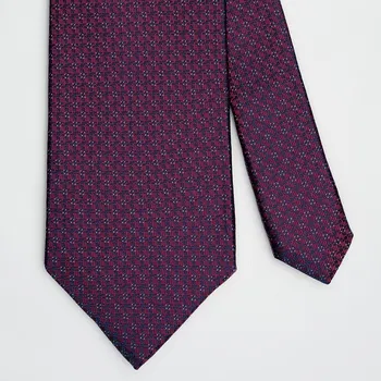 Kravata Pánská kravata BANDI, model EDUCTO 02