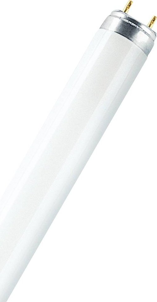 Ledvance Tube LED T8 EM Value Conventional (EM), Mains (AC) Standard Output 18.3W 2200lm - 840 Blanc Froid | 150cm - Équivalent 58W - Bricolage