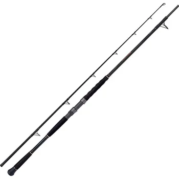 Rybářský prut Prut Shimano Beastmaster AX Catfish Spinning Lure 2,70m 200gr