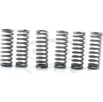 Auto-moto Sada spojkových pružin YAMAHA WR 426 F rok 01-02