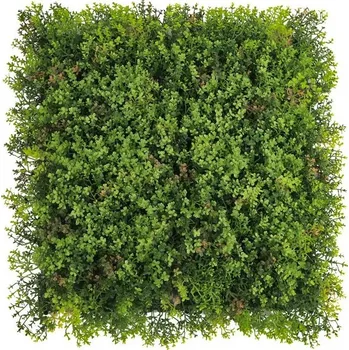 umělý živý plot Umělá živá zelená stěna lišej SEDUM, 50 x 50cm, plocha 0,25m2