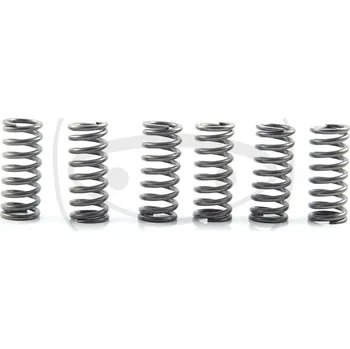 Sada spojkových pružin KTM 250 EXC rok 02-05