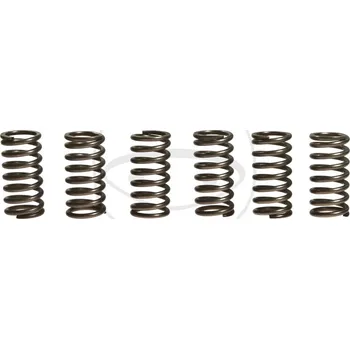 Auto-moto Sada spojkových pružin KTM 450 SX-F rok 07-11