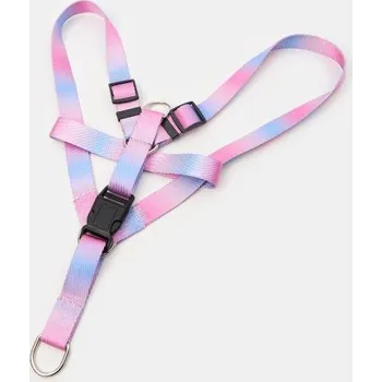 Postroj pro psa Sinsay - Postroj pro psa - vícebarevná - 942CP-MLC - 942CP-MLC-ONE-1