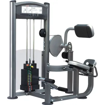 IMPULSE Back exetension (68 kg)