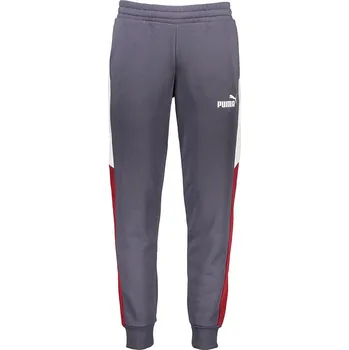 Tepláky Puma Grau 2579714 L