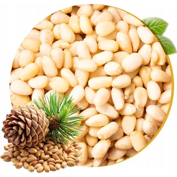 PINIOVÉ OŘÍŠKY 100g – Přírodní Čerstvé Piniové Ořechy | Zdravá Svačinka