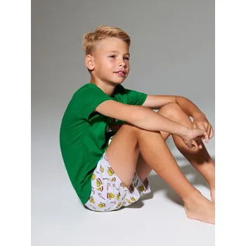 Chlapecké spodní prádlo Sinsay - Dvoudílná pyžamová souprava Shrek - zelená - ZD173-77X - ZD173-77X-146-1