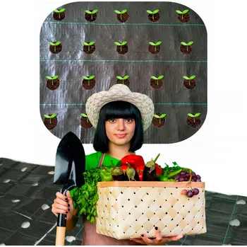 Mulčovací textilie Mulčovací textilie (proti plevelu) černá 160 x 1000 cm 95 g/m2