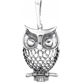 Přívěsek Velká stříbrná sova přívěsek oxidovaná Ag 925