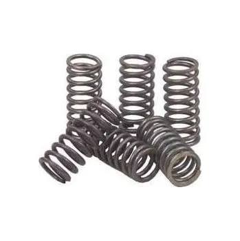 Auto-moto Sada spojkových pružin YAMAHA YFM 700 R-V Raptor rok 06-14