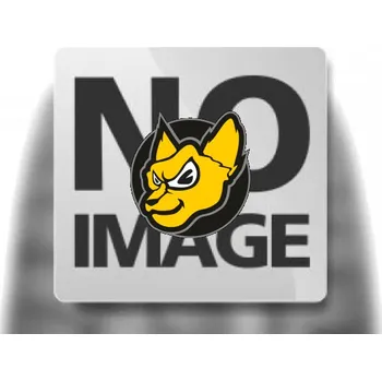 Sun-f A-022 20x11.00 -9 4PR TL