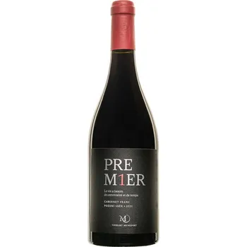 Alkoholický nápoj Cabernet Franc Premier 2021, pozdní sběr, Vinselekt Michlovský, sladké