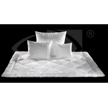 Polštář AW Polštář Samet 50x60 cm