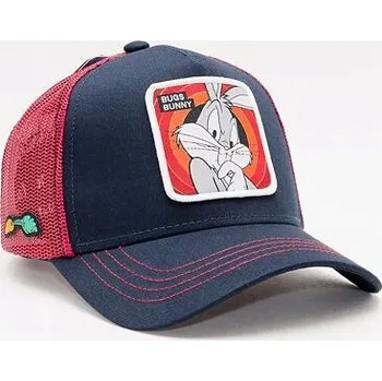 Kšiltovka Capslab kšiltovka vícebarevná, univerzální velikost