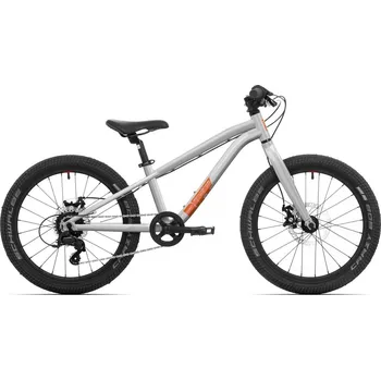 Dětské kolo Rock Machine Riff Tr 20 / Gloss Limerock Grey 2026 Průměr kol: 20", Velikost rámu: UNI