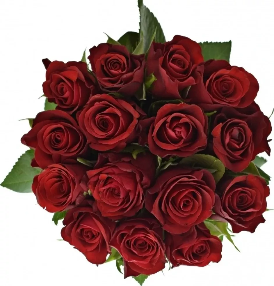 Kytice 15 červených růží SIMPLY RED 70 cm