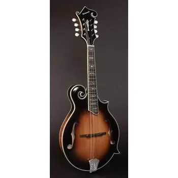 Mandolína Richwood RMF-100-VS mandolína, Mandolína F-styl
